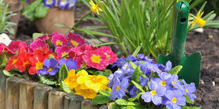 Spring gardening tips and ideas