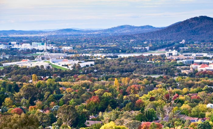 Australia’s top 10 property price growth areas in 2019: Hotspotting’s Terry Ryder