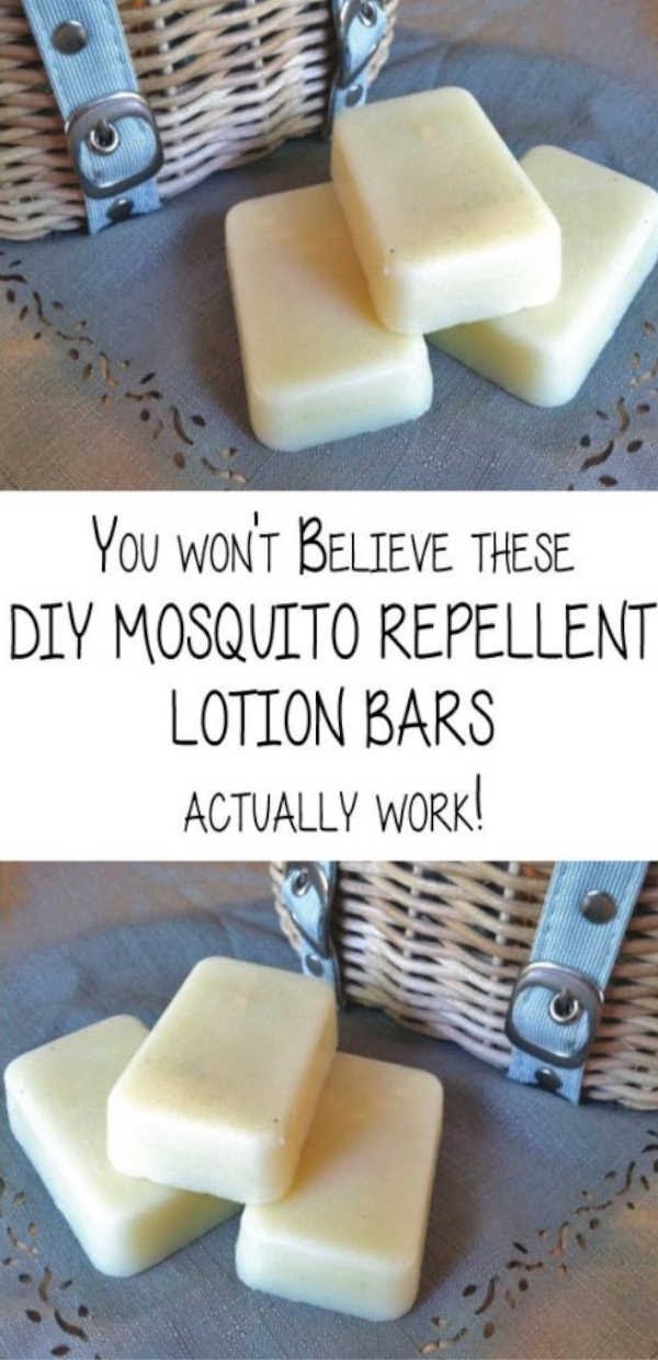 5 Mosquito Repellent Recipes That Actually Work 1 99.1