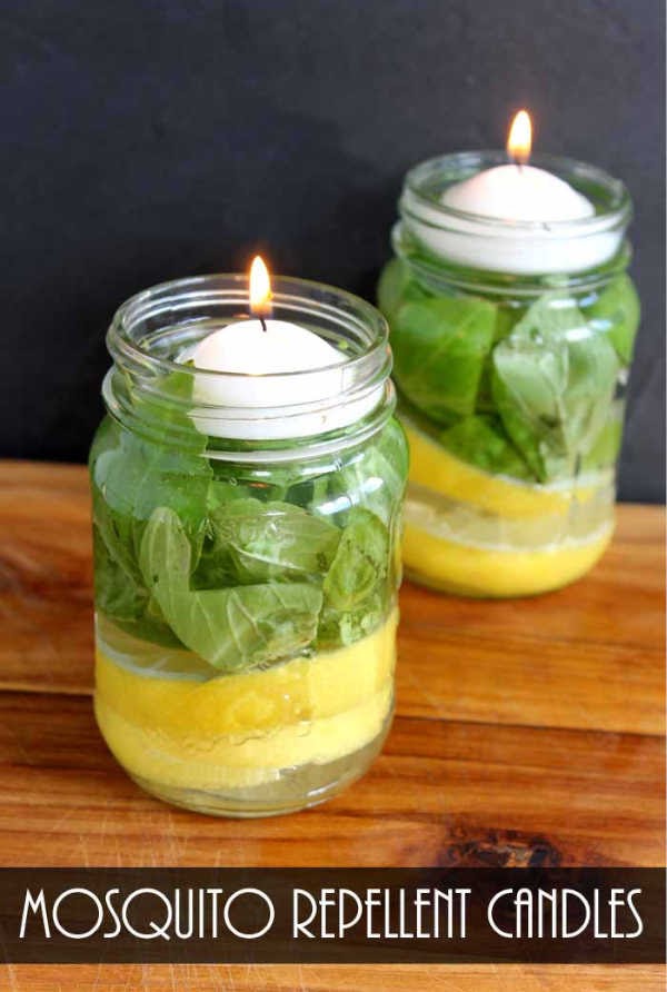 5 Mosquito Repellent Recipes That Actually Work 2 99.2