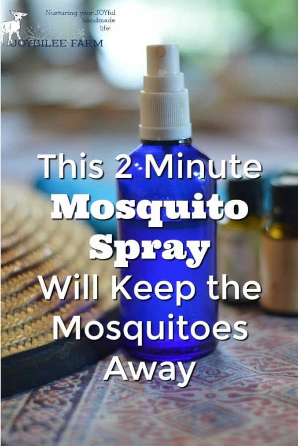 5 Mosquito Repellent Recipes That Actually Work 3 99.3