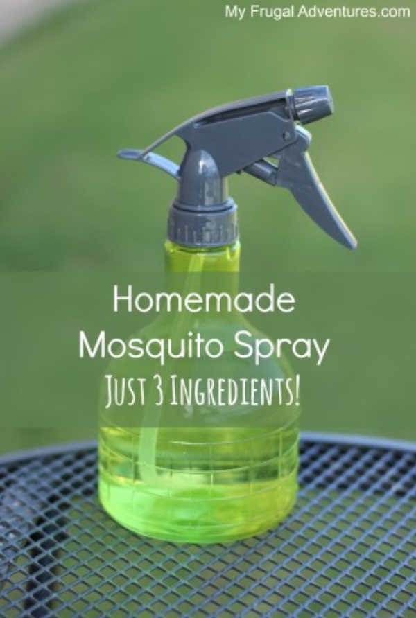 5 Mosquito Repellent Recipes That Actually Work 4 99.4