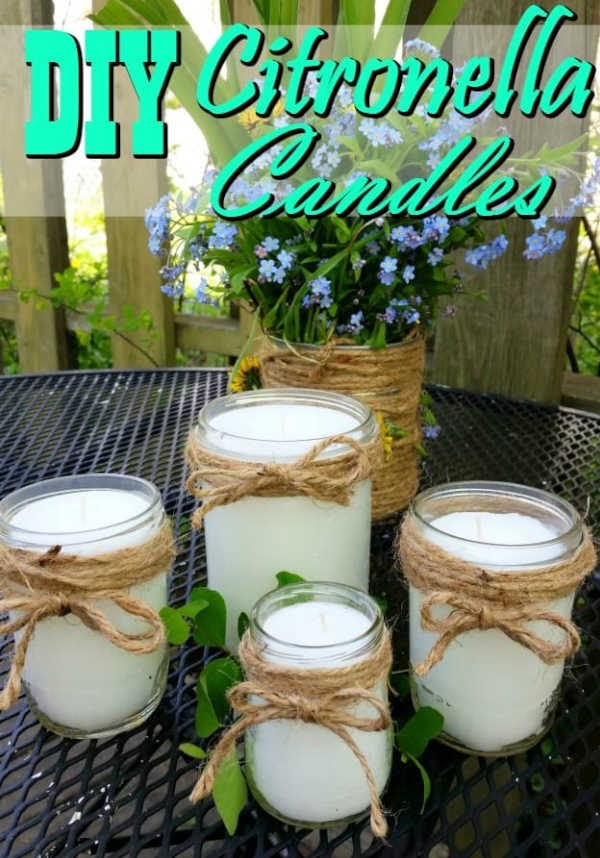 5 Mosquito Repellent Recipes That Actually Work 5 99.5