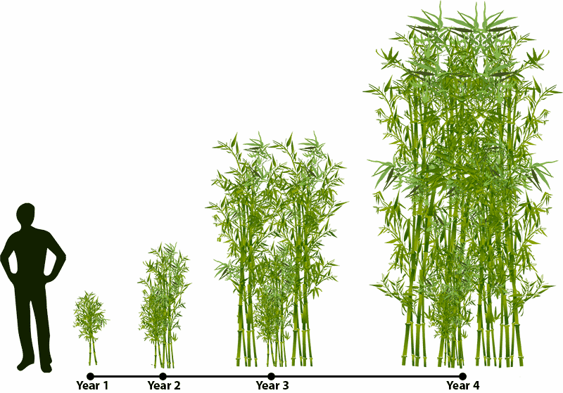 How to Keep Growing in a low Growth Environment: Part 3