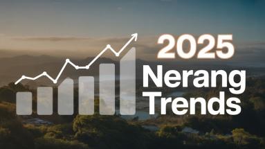 nerang property market 2025